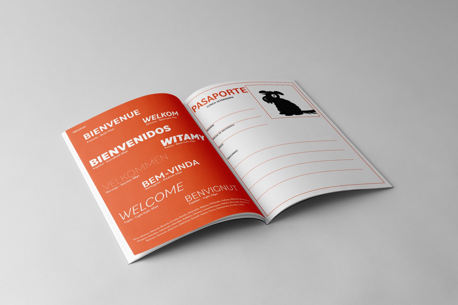 Bilo — Type Specimen — 6